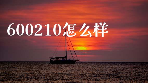 600210怎么样_https://m.lcpcjs.com_恒指期货保证金_第1张