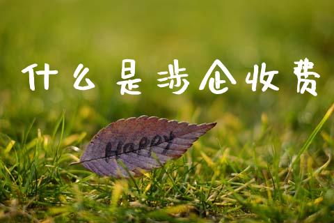 什么是涉企收费_https://m.lcpcjs.com_期货交易_第1张