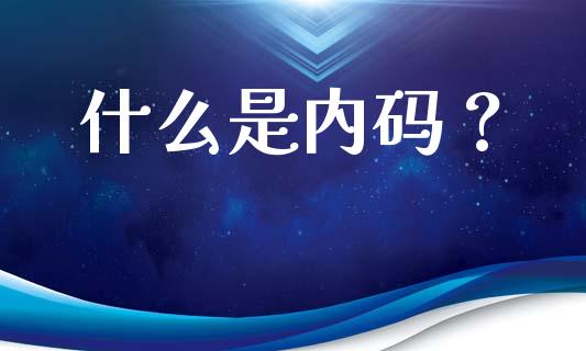 什么是内码？_https://m.lcpcjs.com_期货交易_第1张