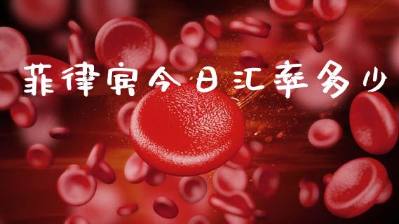 菲律宾今日汇率多少_https://m.lcpcjs.com_期货交易时间_第1张