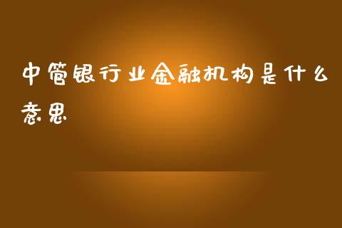 中管银行业金融机构是什么意思_https://m.lcpcjs.com_恒指期货保证金_第1张
