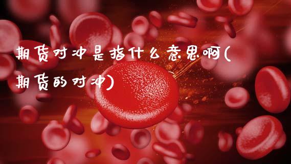 期货对冲是指什么意思啊(期货的对冲)_https://m.lcpcjs.com_期货交易时间_第1张