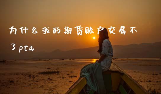 为什么我的期货账户交易不了pta_https://m.lcpcjs.com_期货交易时间_第1张