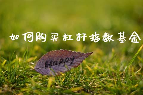 如何购买杠杆指数基金_https://m.lcpcjs.com_期货交易_第1张