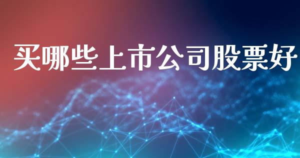 买哪些上市公司股票好_https://m.lcpcjs.com_恒指期货保证金_第1张