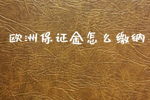欧洲保证金怎么缴纳_https://m.lcpcjs.com_期货交易时间_第1张