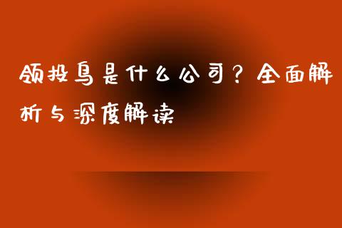 领投鸟是什么公司？全面解析与深度解读_https://m.lcpcjs.com_期货交易_第1张