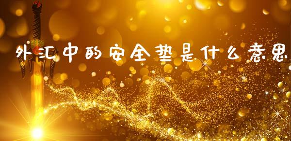 外汇中的安全垫是什么意思_https://m.lcpcjs.com_白银期货保证金_第1张