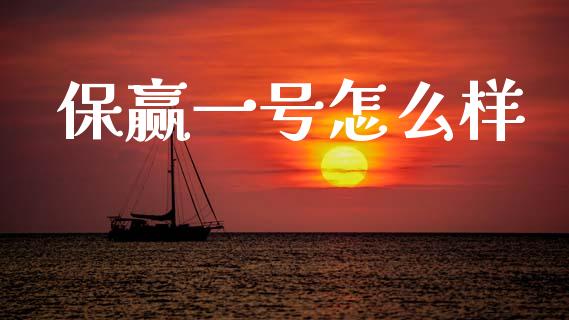 保赢一号怎么样_https://m.lcpcjs.com_白银期货保证金_第1张