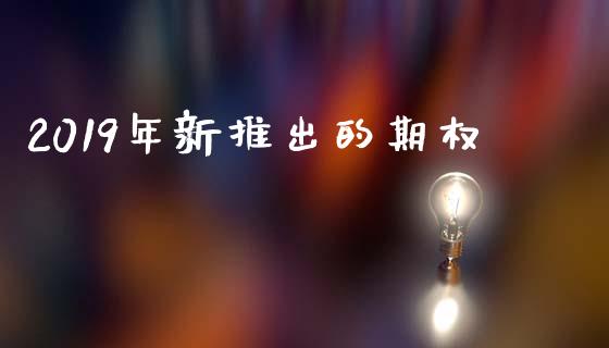2019年新推出的期权_https://m.lcpcjs.com_恒指期货保证金_第1张