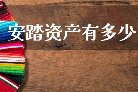 安踏资产有多少_https://m.lcpcjs.com_白银期货保证金_第1张