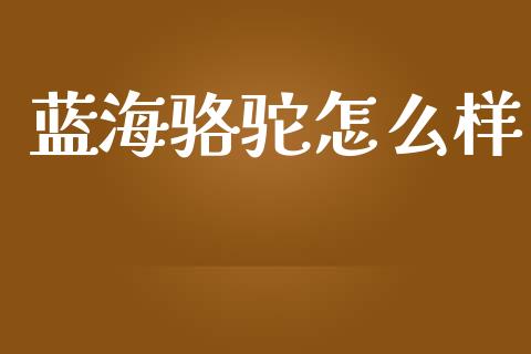蓝海骆驼怎么样_https://m.lcpcjs.com_白银期货保证金_第1张