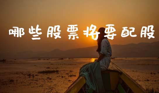哪些股票将要配股_https://m.lcpcjs.com_恒指期货保证金_第1张