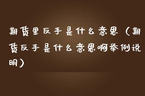 期货里反手是什么意思（期货反手是什么意思啊举例说明）_https://m.lcpcjs.com_白银期货保证金_第1张