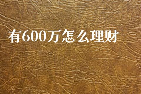有600万怎么理财_https://m.lcpcjs.com_恒指期货保证金_第1张