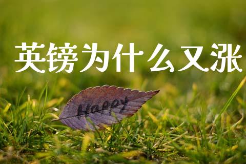英镑为什么又涨_https://m.lcpcjs.com_期货交易_第1张
