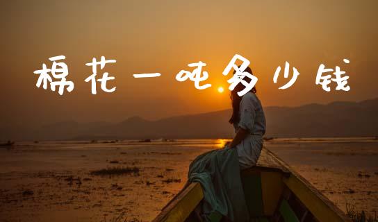 棉花一吨多少钱_https://m.lcpcjs.com_期货交易时间_第1张