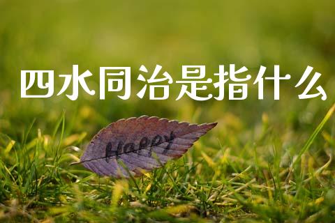 四水同治是指什么_https://m.lcpcjs.com_期货交易_第1张