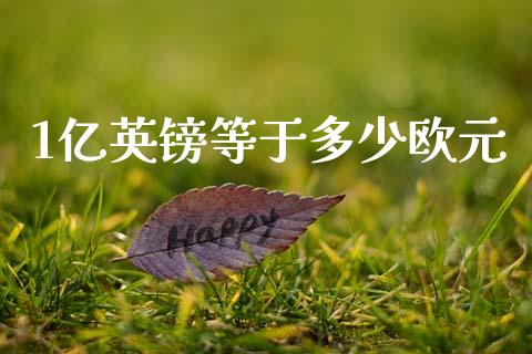 1亿英镑等于多少欧元_https://m.lcpcjs.com_恒指期货保证金_第1张