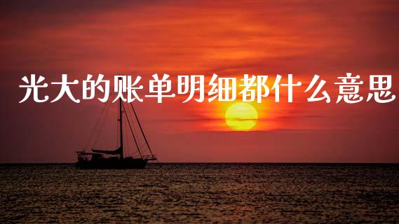 光大的账单明细都什么意思_https://m.lcpcjs.com_期货交易_第1张