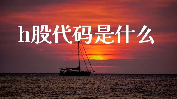 h股代码是什么_https://m.lcpcjs.com_白银期货保证金_第1张