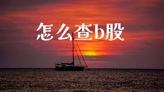 怎么查b股_https://m.lcpcjs.com_期货交易_第1张