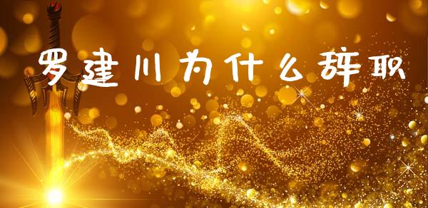 罗建川为什么辞职_https://m.lcpcjs.com_白银期货保证金_第1张