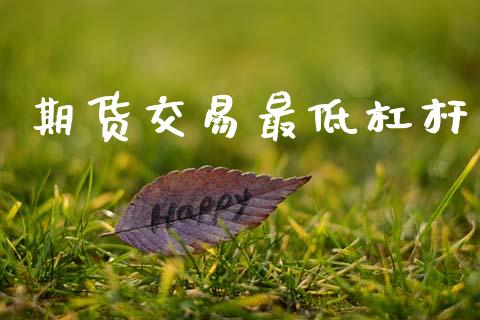 期货交易最低杠杆_https://m.lcpcjs.com_白银期货保证金_第1张