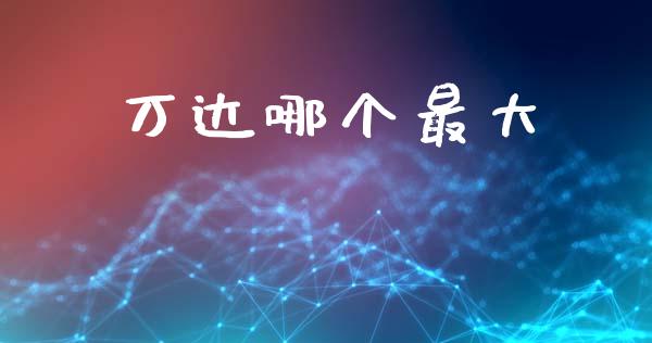 万达哪个最大_https://m.lcpcjs.com_期货交易_第1张