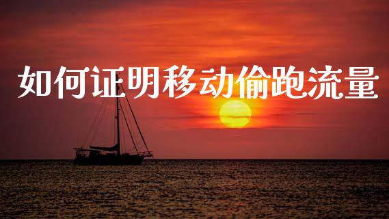 如何证明移动偷跑流量_https://m.lcpcjs.com_白银期货保证金_第1张