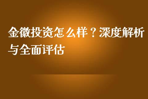 金徽投资怎么样？深度解析与全面评估_https://m.lcpcjs.com_白银期货保证金_第1张