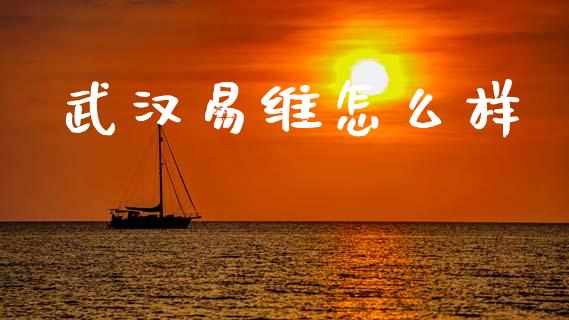 武汉易维怎么样_https://m.lcpcjs.com_恒指期货保证金_第1张