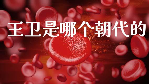 王卫是哪个朝代的_https://m.lcpcjs.com_期货交易时间_第1张
