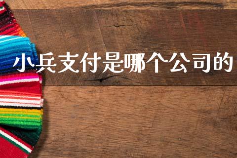 小兵支付是哪个公司的_https://m.lcpcjs.com_期货交易时间_第1张