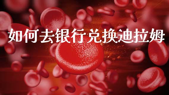 如何去银行兑换迪拉姆_https://m.lcpcjs.com_白银期货保证金_第1张