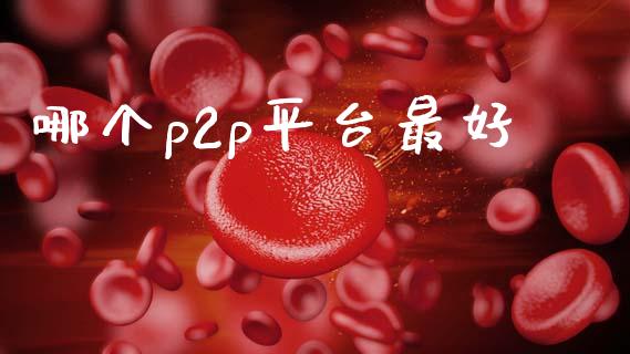 哪个p2p平台最好_https://m.lcpcjs.com_期货交易时间_第1张