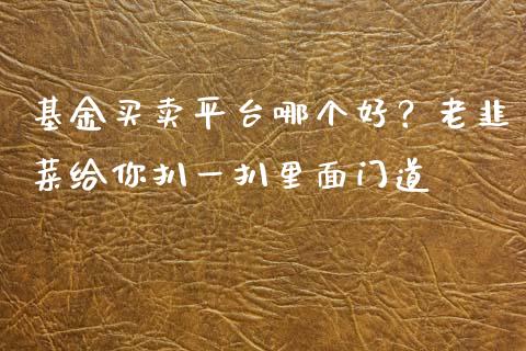 基金买卖平台哪个好？老韭菜给你扒一扒里面门道_https://m.lcpcjs.com_恒指期货保证金_第1张