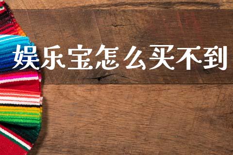 娱乐宝怎么买不到_https://m.lcpcjs.com_期货交易_第1张