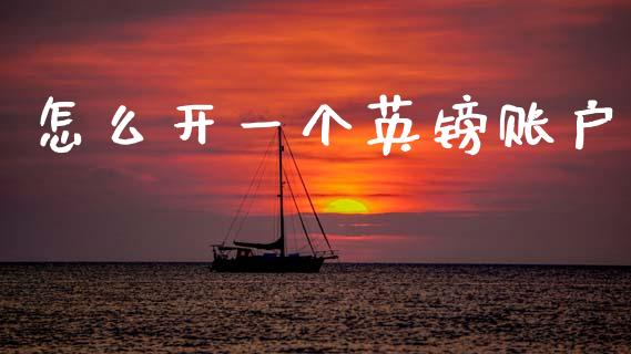 怎么开一个英镑账户_https://m.lcpcjs.com_期货交易_第1张