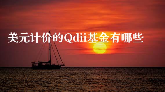 美元计价的Qdii基金有哪些_https://m.lcpcjs.com_白银期货保证金_第1张
