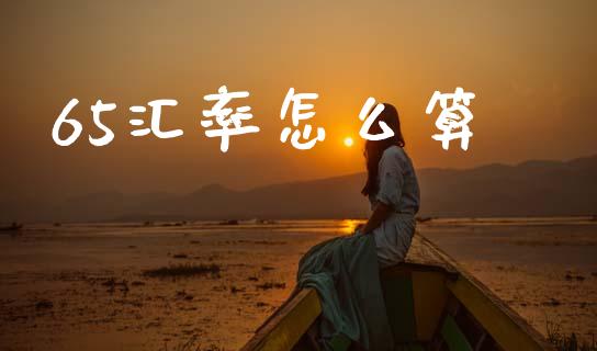 65汇率怎么算_https://m.lcpcjs.com_白银期货保证金_第1张