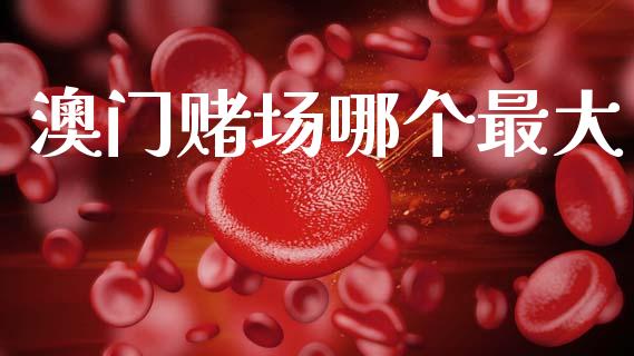 澳门赌场哪个最大_https://m.lcpcjs.com_白银期货保证金_第1张