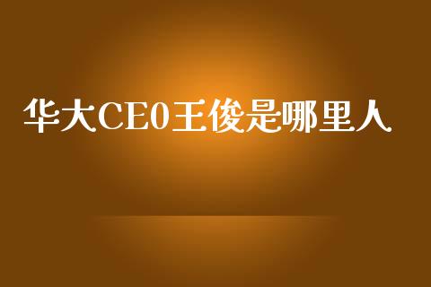 华大CE0王俊是哪里人_https://m.lcpcjs.com_期货交易_第1张