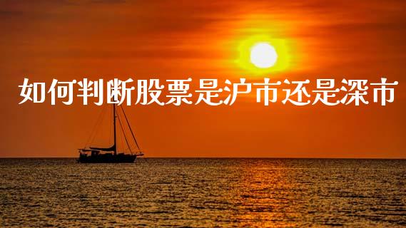 如何判断股票是沪市还是深市_https://m.lcpcjs.com_期货交易时间_第1张