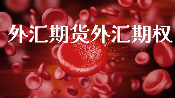外汇期货外汇期权_https://m.lcpcjs.com_白银期货保证金_第1张