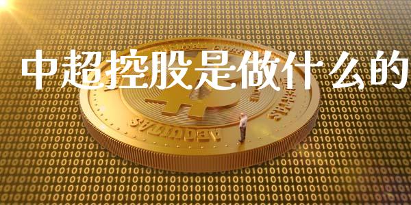 中超控股是做什么的_https://m.lcpcjs.com_白银期货保证金_第1张