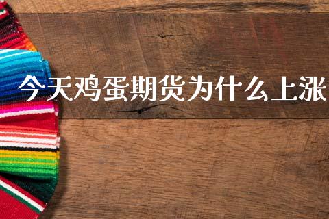 今天鸡蛋期货为什么上涨_https://m.lcpcjs.com_期货交易时间_第1张