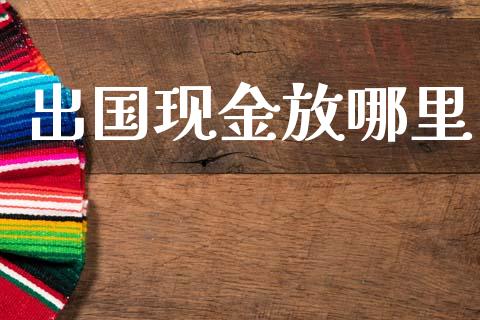 出国现金放哪里_https://m.lcpcjs.com_白银期货保证金_第1张