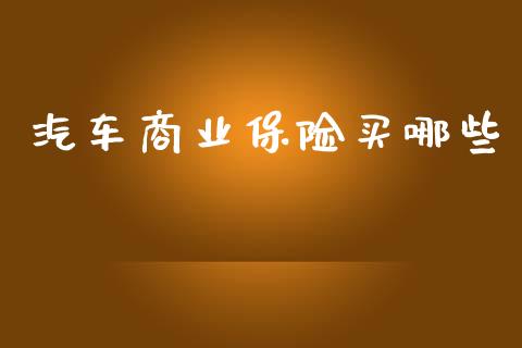 汽车商业保险买哪些_https://m.lcpcjs.com_白银期货保证金_第1张