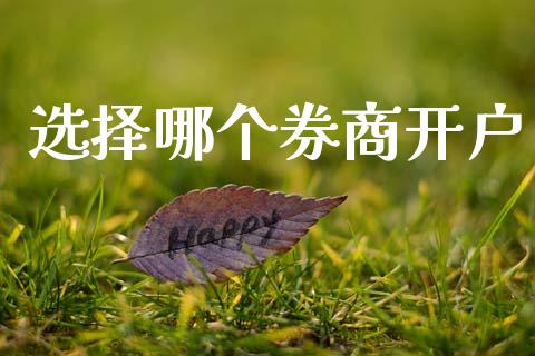 选择哪个券商开户_https://m.lcpcjs.com_恒指期货保证金_第1张
